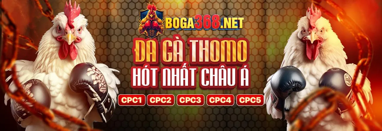 Hình ảnh đa dạng các trò chơi cá cược tại Betu Bình Dương